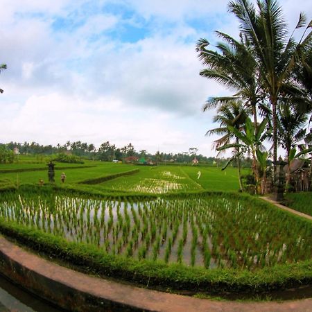 Vinarya Villa Ubud  Exterior photo