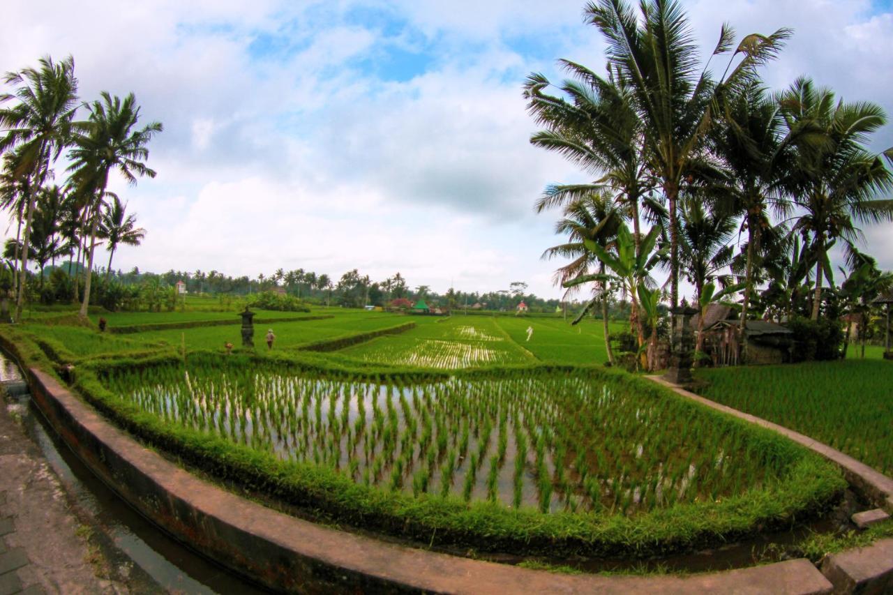 Vinarya Villa Ubud  Exterior photo